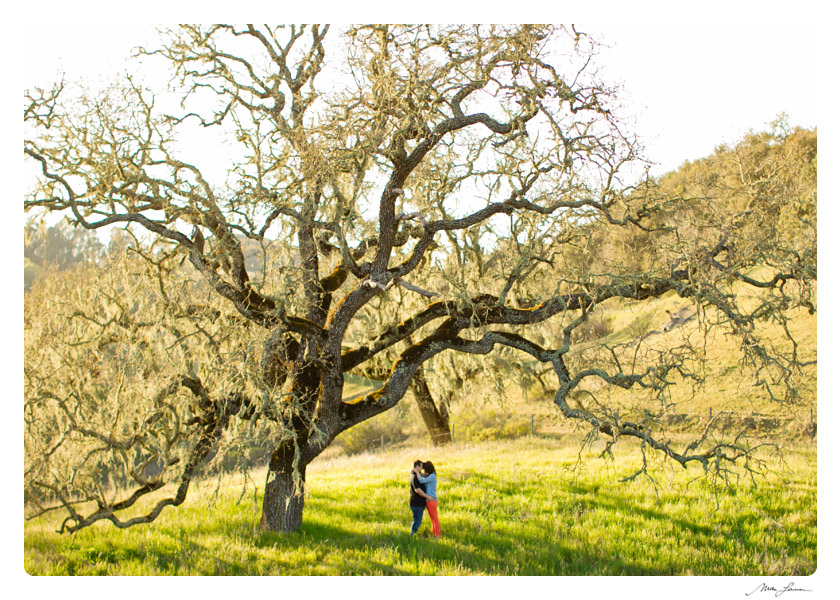 Paso Robles Engagement shoot by mike larson wedding templeton wedding photographer (6)