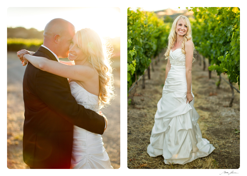 Mike Larson Vineyard and Private Estate Wedding Photographer