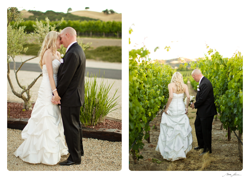 Mike Larson Vineyard and Private Estate California Wedding Photographer