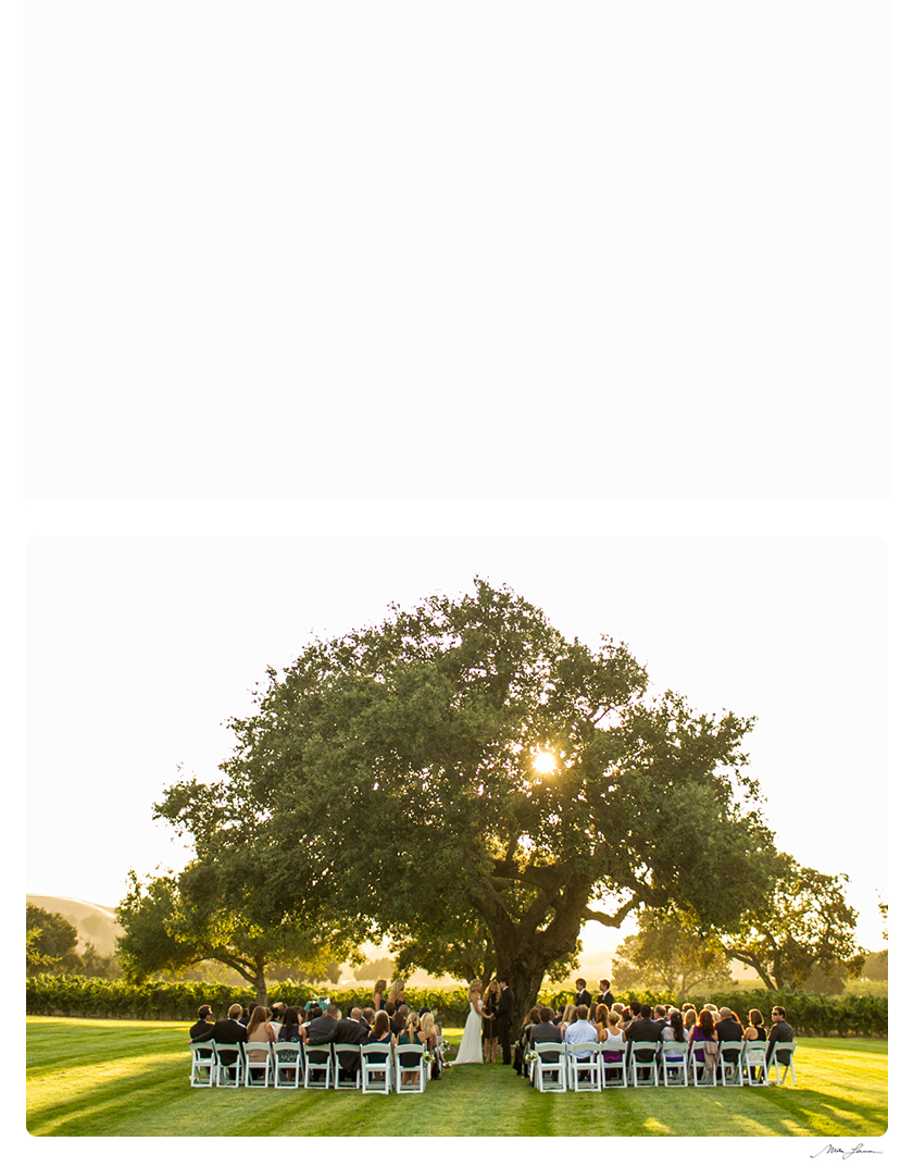 Mike Larson Private Estate and Vineyard Wedding Photographer